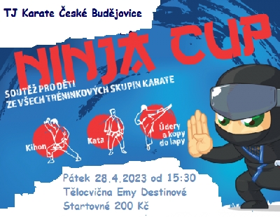 NINJA CUP SOUTĚŽ PRO DĚTI Z KARATE