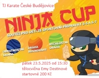 NINJA CUP  SOUTEŽ PRO DĚTI ZE SPORTOVNÍ PŘÍPRAVKY  